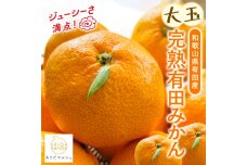 迫力満点 大粒 有田みかん 約5kg【先行予約】【果汁たっぷり】【MS14】