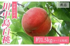 和歌山県産 川中島白桃《秀品》 約1.5kg（4～7玉程度）【7月下旬より発送】【MG31】