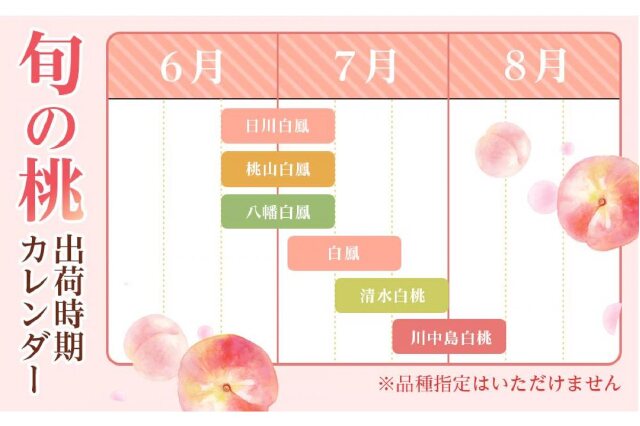 ふるさと納税 「和歌山県産 旬 の 桃 5～6玉入り 秀品【2025年6月下旬より順次発送】【MG33】」 和歌山県上富田町 - ふるさと納税の「 ふるさとぷらす」