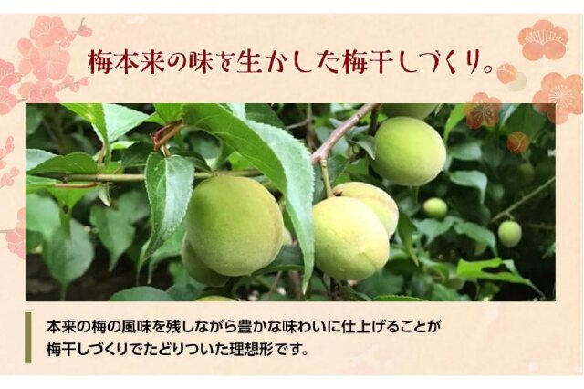 ふるさと納税 「紀州産 南高梅 樽底 つぶれ梅 しそ風味 3kg （500g × 6