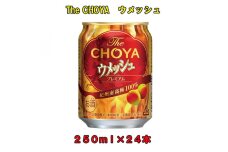 The CHOYAウメッシュ 250ml×１ケース（２４本）
