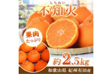 紀州有田産不知火(しらぬひ) 約２.５kg［2026年2月中旬以降発送］［先行予約］［UT61］