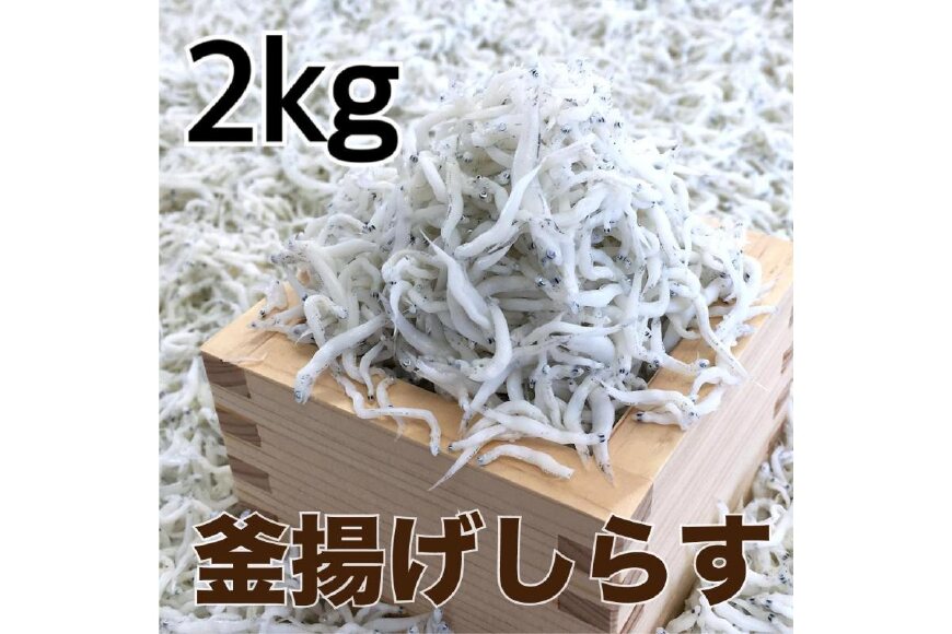 釜揚げしらす2kg【DN4】
