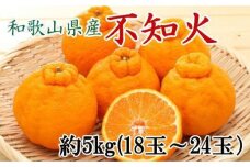 和歌山県産不知火約5kg（18玉～24玉おまかせ）L～3Lサイズ★2025年2月下旬頃より順次発送