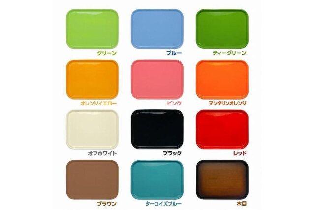 ふるさと納税 「カラフルピノトレー L 39cm グリーン 2枚組 タツ