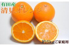 【濃厚】有田産清見オレンジ約5kg（サイズおまかせ・ご家庭用）★2025年2月下旬頃より順次発送