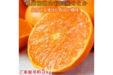 紀州有田産せとか約5kg 【ご家庭用】とろける食感！ジューシー柑橘【2025年2月下旬以降発送】