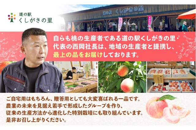 ふるさと納税 「先行予約！［モモ］川中島白桃 約2kg 6～8個入［秀品