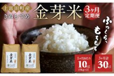 【 定期便 】 令和8年産   上富田町産 金芽米 きぬむすめ 10kg × 3か月 井戸本農園