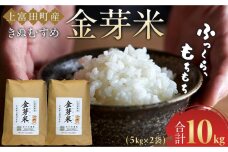 令和8年産  上富田町産 金芽米 きぬむすめ 10kg （ 5kg × 2 ) 井戸本農園