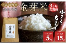 【 定期便 】令和8年産  上富田町産 金芽米 きぬむすめ 5kg × 3か月 井戸本農園