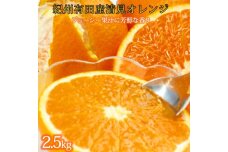 とにかくジューシー清見オレンジ 約2.5kg【2025年3月下旬以降発送】【先行予約】【UT131】