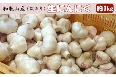 和歌山県産 生にんにく 約1kg ご家庭用 ［TM202］