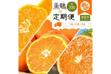 【1・2・3月 全3回 定期便】紀州和歌山産旬のご家庭用柑橘セット(みかん・不知火・清見)