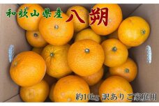 ［手選果 訳あり］和歌山 由良町産 八朔 約10kg サイズ混合 ご家庭用 ［TM205］