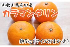 【春みかん】和歌山有田産 カラマンダリン 約5kg サイズおまかせ ★2026年４月より順次発送 