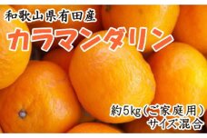 【2026年4月より順次発送】 和歌山有田産カラマンダリン約5kg サイズ混合 ご家庭用