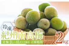 冷凍 紀州南高梅 青梅   約2kg   L～4Lサイズ混合 ご家庭用
