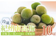 冷凍 紀州南高梅 青梅   約10kg   L～4Lサイズ混合 ご家庭用