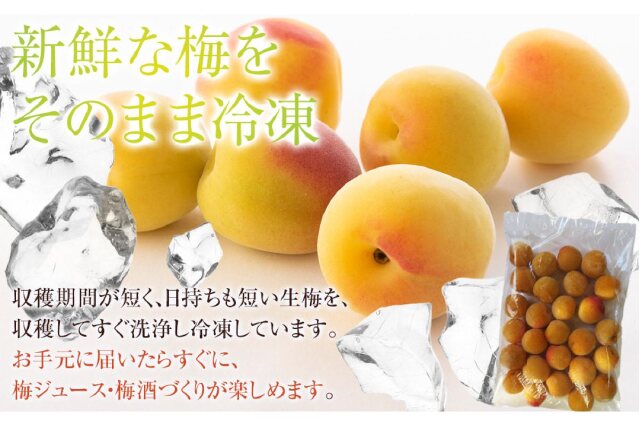南高梅　完熟　2L7キロ　じゃい様 紀州完熟南高梅 2kg: フルーツ(果物)・野菜・ナッツ類