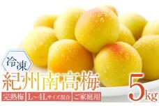 冷凍 紀州南高梅 完熟梅   約5kg   L～4Lサイズ混合 ご家庭用