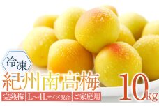 冷凍 紀州南高梅 完熟梅   約10kg   L～4Lサイズ混合 ご家庭用