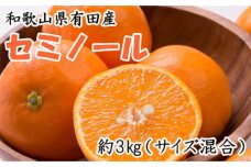 ［濃厚オレンジ］和歌山有田産セミノール約3kg(サイズ混合 秀品)★2026年4月中旬頃より順次発送