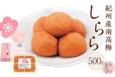 紀州産南高梅 梅干し しらら  500g 減塩 梅干 塩分5% 中田食品