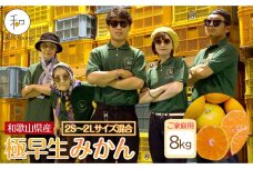 家庭用 森本農園の手選別 極早生みかん 約8kg 和歌山県産 2S~2Lサイズ混合［RN40］