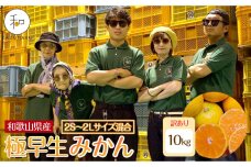 訳あり 森本農園の手選別 極早生みかん 約10kg 和歌山県産 2S~2Lサイズ混合［RN41］