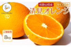 家庭用 森本農園の手選別 清見オレンジ 約8kg 和歌山県産 サイズ混合［RN48］