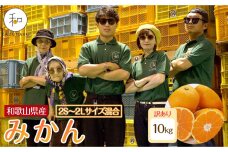訳あり 森本農園の手選別 みかん 約10kg 和歌山県産 2S~2Lサイズ混合［RN43］