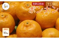 訳あり 森本農園の手選別 ポンカン 約10kg 和歌山県産 サイズ混合［RN45］