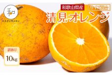 訳あり 森本農園の手選別 清見オレンジ 約10kg 和歌山県産 サイズ混合［RN49］
