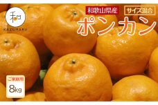 家庭用 森本農園の手選別 ポンカン 約8kg 和歌山県産 サイズ混合［RN44］