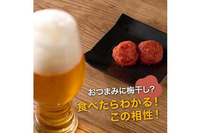 ふるさと納税 「紀州産南高梅 梅干し 辛子梅 400g 塩分8% 中田食品