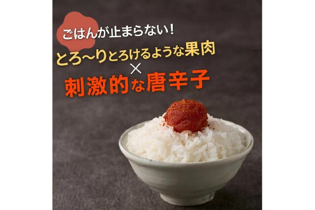 ふるさと納税 「紀州産南高梅 梅干し 辛子梅 400g 塩分8% 中田食品