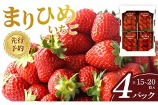 先行予約 まりひめいちご 15～20粒入×4パック 食べやすいひと口サイズ こだわり 農家厳選