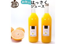 無添加はっさくジュース 約720ml×2本［IKE262］