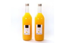 無添加甘夏ジュース 約720ml×2本［IKE266］