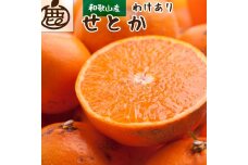 ［先行予約］家庭用 せとか10kg+250g（傷み補償分）［IKE256］