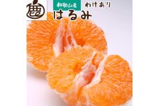 ［先行予約］家庭用 はるみ10kg+250g（傷み補償分）［わけあり・訳あり］［IKE270］