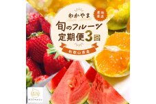 わかやま旬のフルーツ定期便[S] 全3回 2～3・6・10月発送 家庭用 ［MS120］