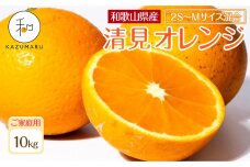 家庭用 森本農園の手選別 小粒清見オレンジ 約10kg 和歌山県産 2S～Mサイズ混合 