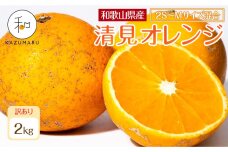 訳あり 森本農園の手選別 小粒清見オレンジ 約2kg 和歌山県産 2S～Mサイズ混合 