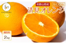 贈答用 森本農園の手選別 厳選清見オレンジ 約2kg 和歌山県産 サイズ混合 