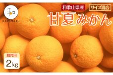 贈答用 森本農園の手選別 甘夏みかん 約2kg 和歌山県産 サイズ混合 