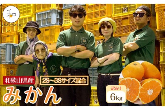 訳あり 森本農園の手選別 小粒みかん 約6kg 和歌山県産 2S・3Sサイズ混合 