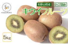 森本農園の キウイフルーツ 約5kg 和歌山県産 サイズ混合 