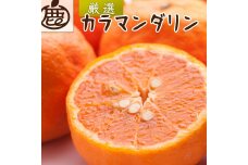 厳選 カラマンダリン 10kg+250g（傷み補償分）【南津海・なつみ】【希少な春柑橘】